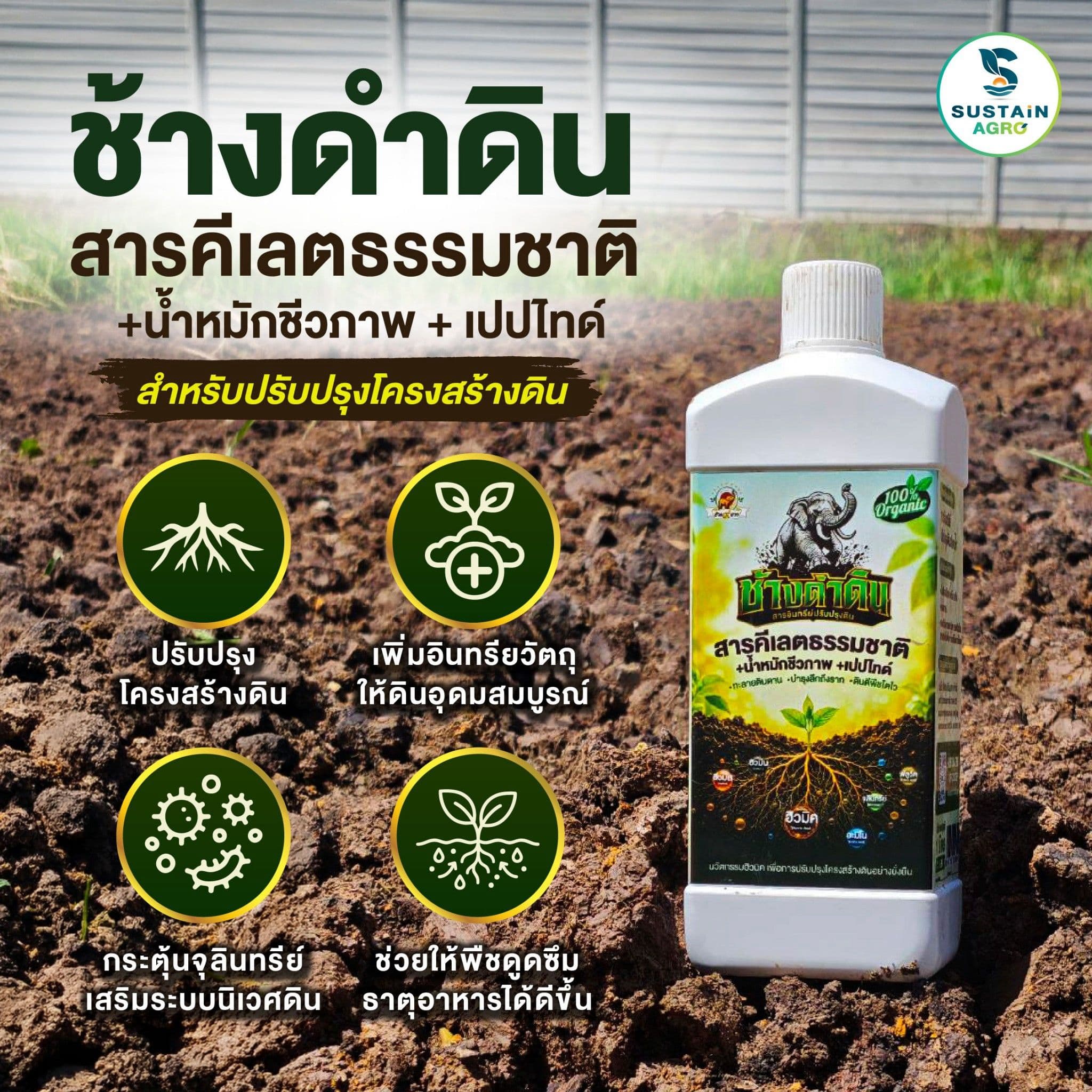 ช้างดำดิน